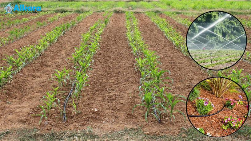 natural-water-softeners-for-agriculture-big-2