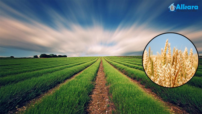 natural-water-softeners-for-agriculture-big-1