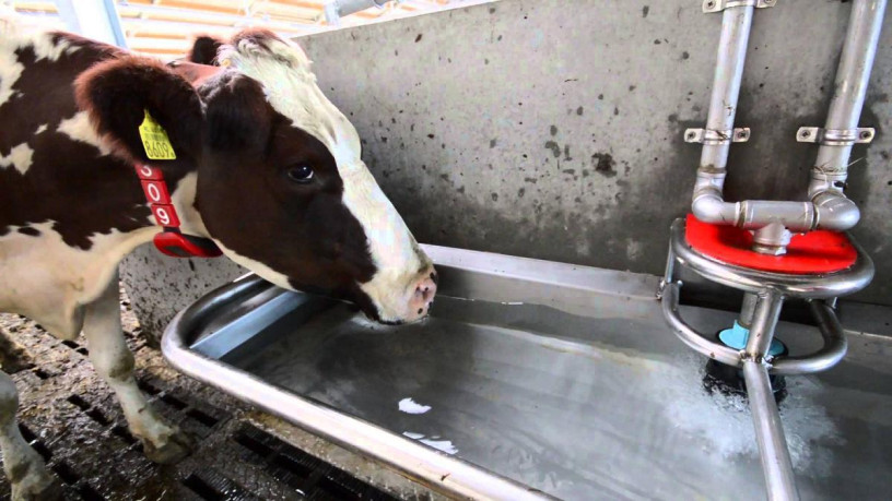 natural-water-softeners-for-diary-farms-big-2