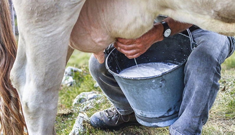natural-water-softeners-for-diary-farms-big-1