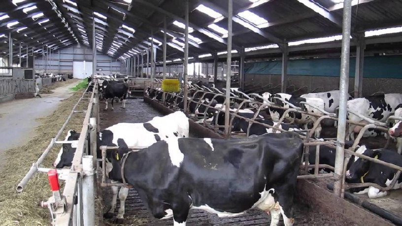 natural-water-softeners-for-diary-farms-big-0