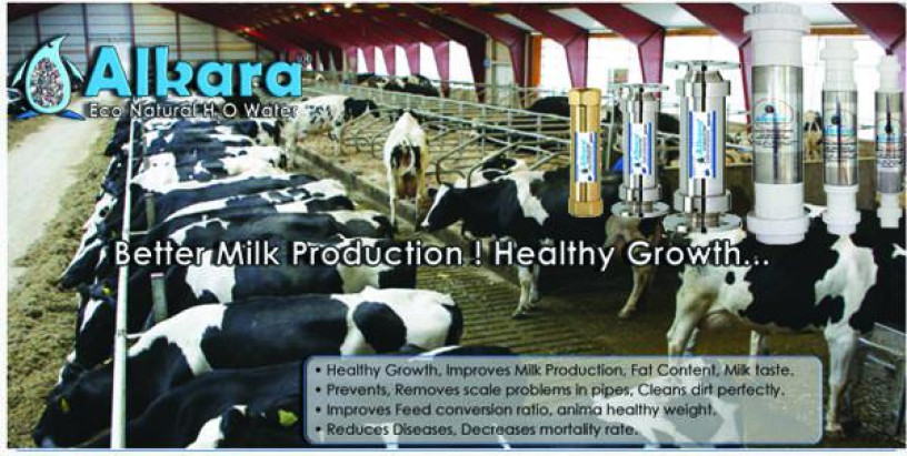 natural-water-softeners-for-diary-farms-big-3