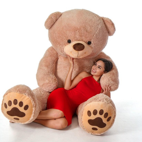 find-graduation-bear-gift-big-0