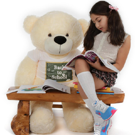buy-school-teddy-bear-big-0