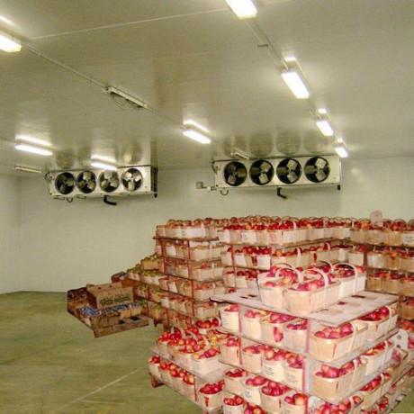 vegetable-cold-storage-plant-manufacturer-epack-prefab-big-0