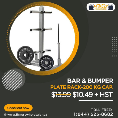 easy-to-use-best-quality-curling-benches-fitness-wholesaler-big-0