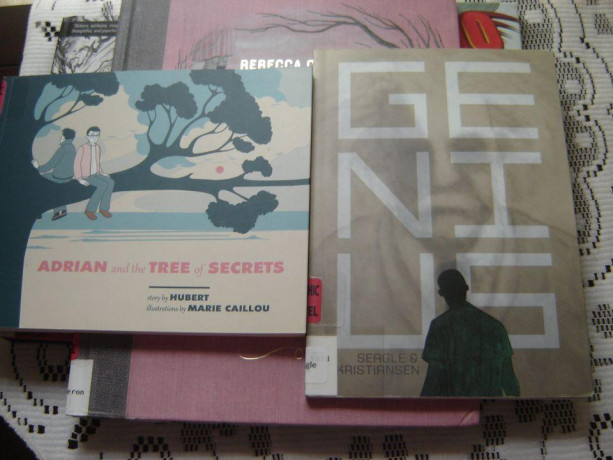 6-graphic-novels-as-new-only-500-each-50-graphic-novels-fantasy-science-fiction-also-big-1