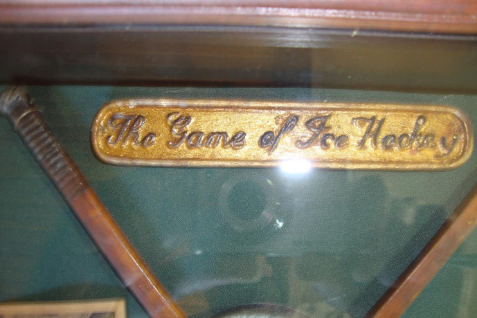 the-game-of-ice-hockey-case-big-1