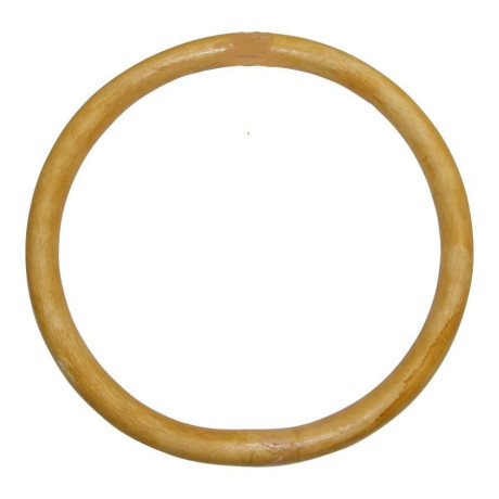 wf0012a-wing-chun-kung-fu-ring-tsun-siu-lum-sticky-hands-big-0