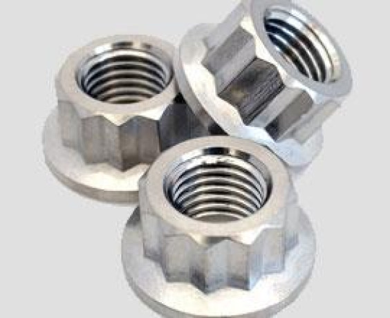 12-point-flange-nuts-manufacturers-in-india-big-0