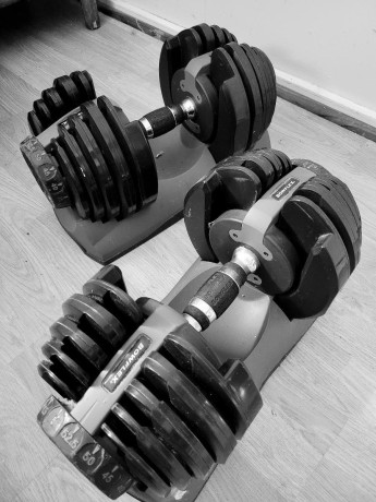 bowflex-dumbell-set-big-0