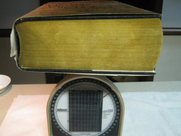 websters-encyclopedic-unabridged-dictionary-of-the-english-language-big-0
