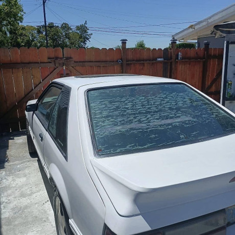 1987-mustang-big-1