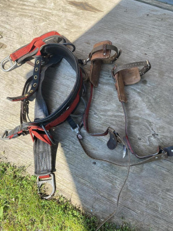 tree-climbing-spikes-and-belt-big-0