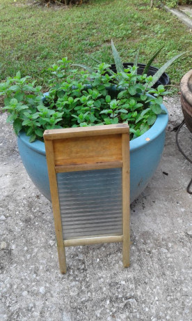 wash-boards-big-0