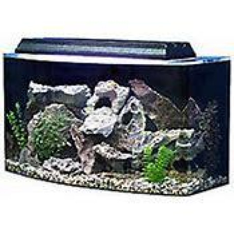fish-tank-big-size-big-0