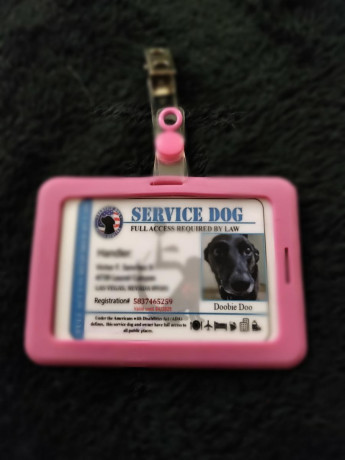 service-dog-identification-card-big-0