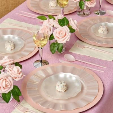 disposable-tableware-wholesale-big-0