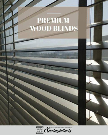 spring-blinds-the-ultimate-destination-for-perfect-somfy-shades-for-home-office-big-2