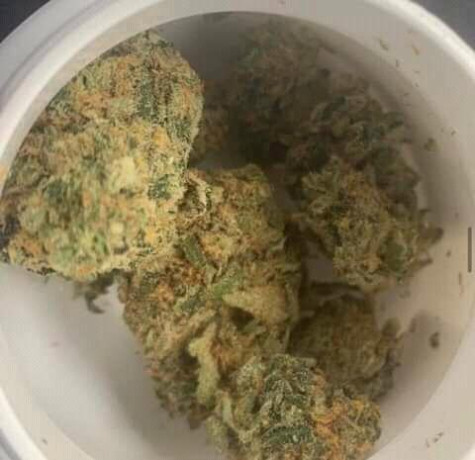 drugs-big-1