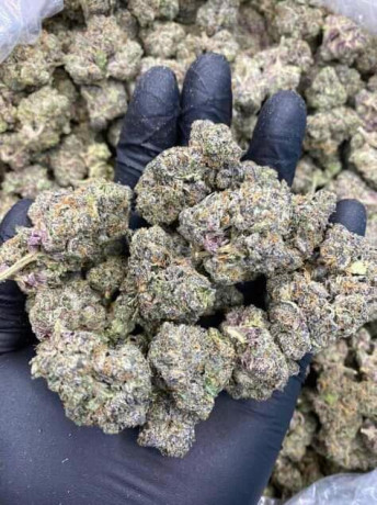drugs-big-0