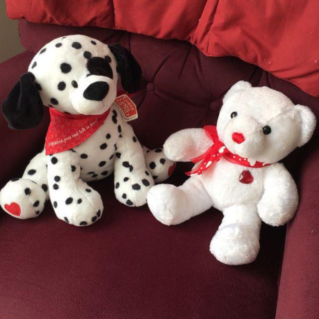 dalmation-dog-teddy-big-0
