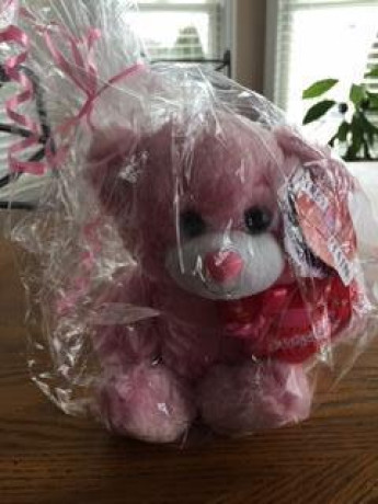 pink-teddy-bear-big-0